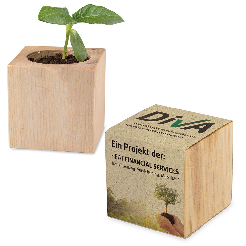 Pflanz-Holz mit Samen (Graspapier-Banderole) - Sommerblumenmischung