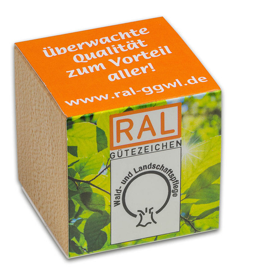 Pflanz-Holz mit Samen (Graspapier-Banderole) - Petersilie, 2 Seiten gelasert