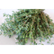Pflanz-Holz Maxi mit Samen - Thymian