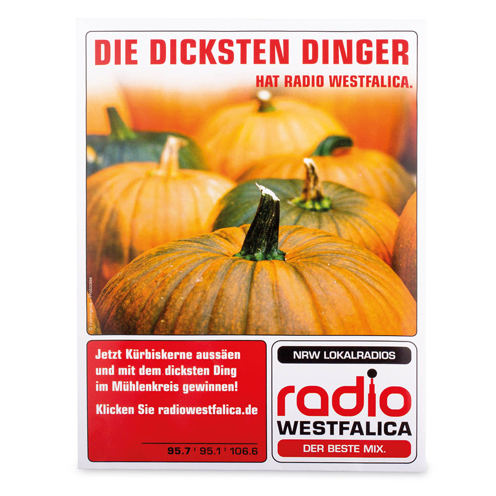 Samentütchen Groß - Standardpapier - Schnittlauch