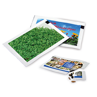 Samen-Briefchen - Gartenkresse