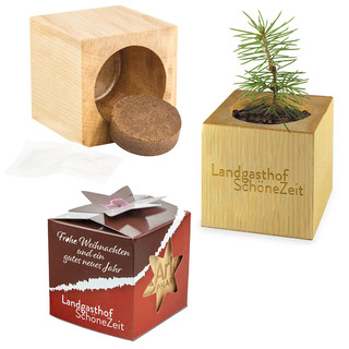 Pflanz-Holz Star-Box Xmas mit Fichtensamen - Fichte, 2 Seiten gelasert