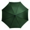 Automatik-Holzstockschirm BOOGIE