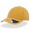 Digg Cap