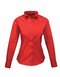 Ladies` Poplin Long Sleeve Blouse